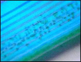 Conformal Coating Figure